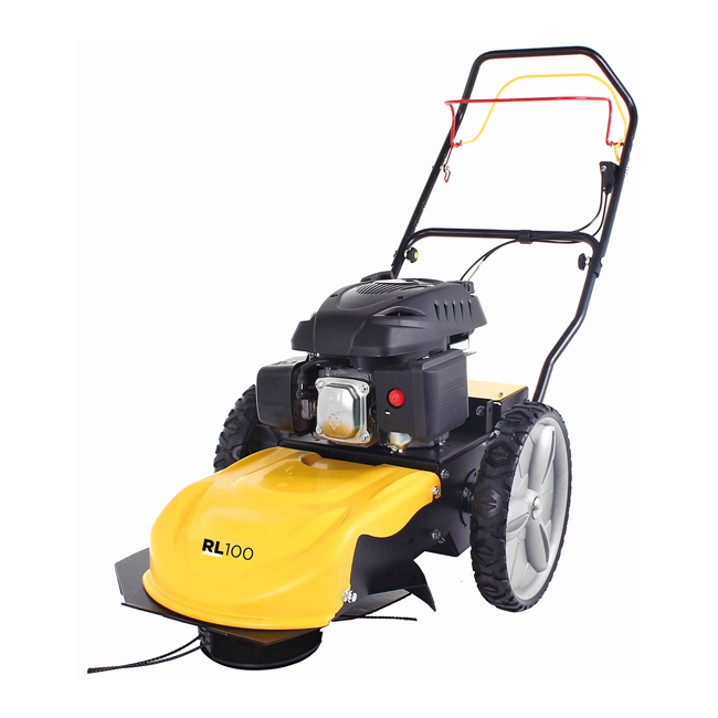 RL100